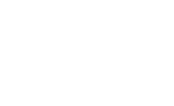 Blue Eagle Sacco